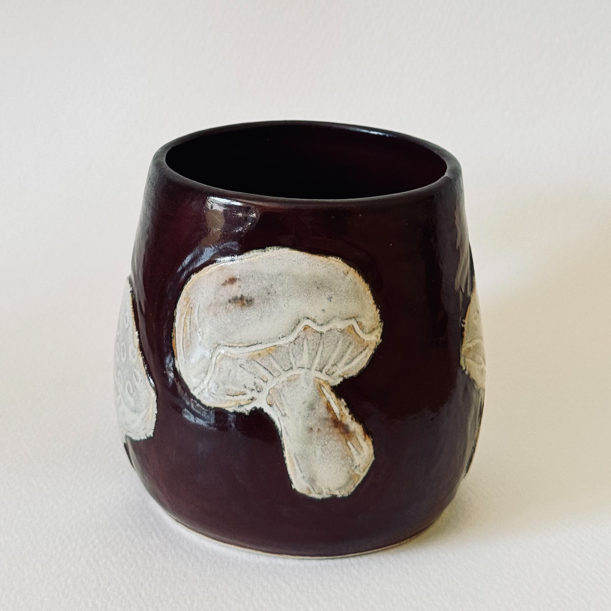 Taza Shrooms