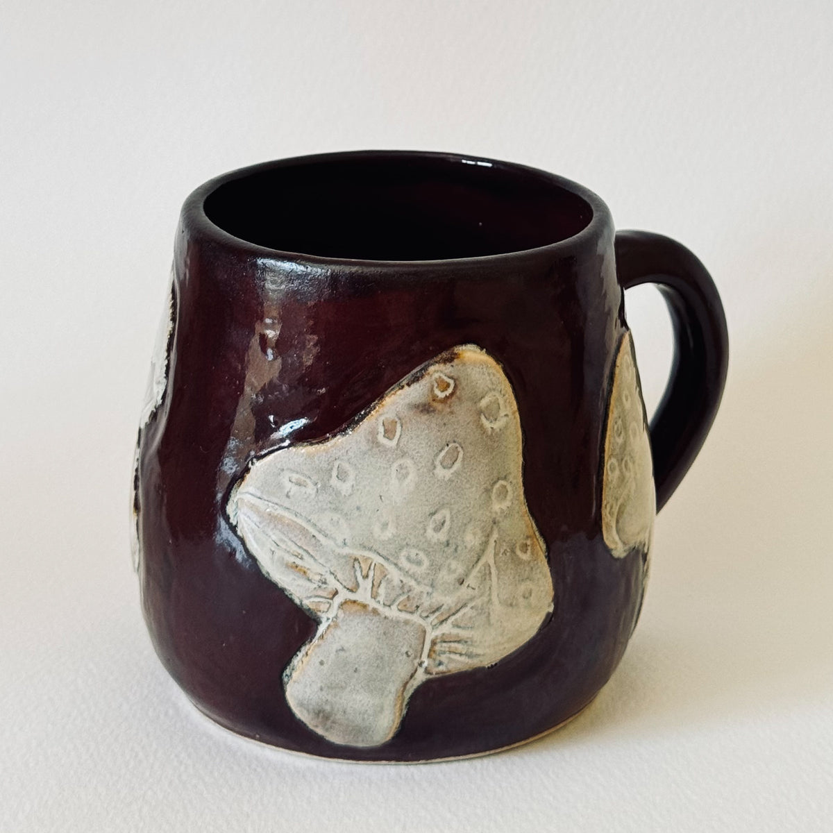 Taza Shrooms